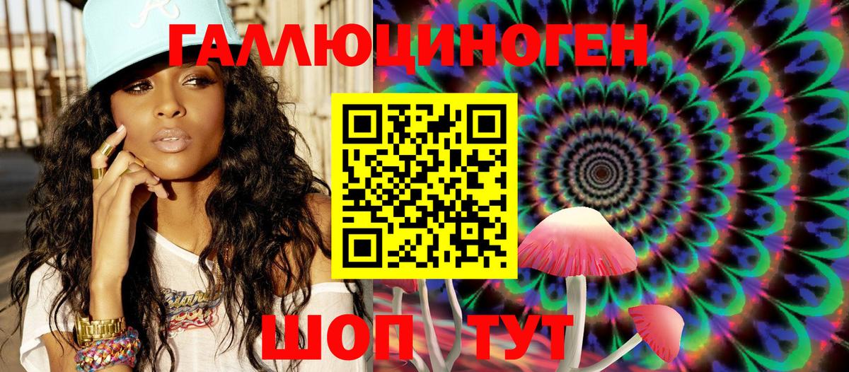 Королёв  Галлюциногенные грибы Cubensis  Вход с VPN  Псилоцибиновые грибы мухоморы 